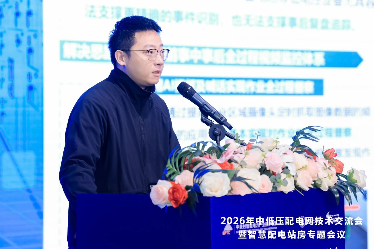 1776149536929040856.jpg 13.jpg